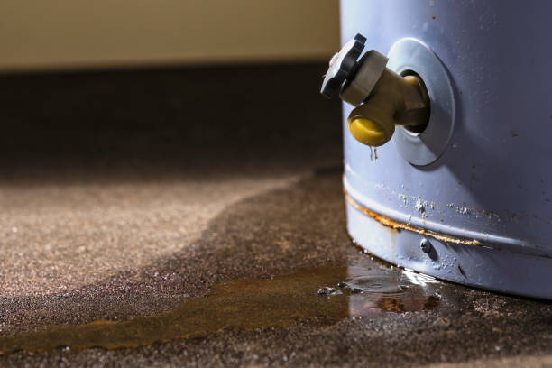 Best Water damage cleanup near me  in Prairie Heights, WA