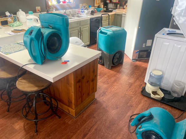 Best Carpet water damage restoration  in Prairie Heights, WA