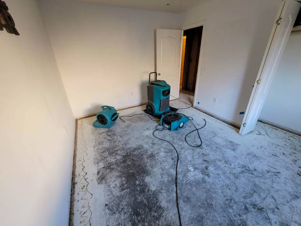 Carpet water damage restoration in Prairie Heights, WA