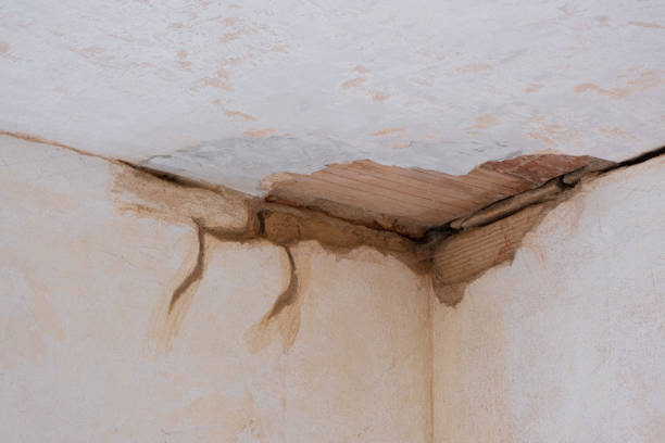 Best Commercial water damage restoration  in Prairie Heights, WA