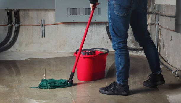 Best Water damage restoration services  in Prairie Heights, WA