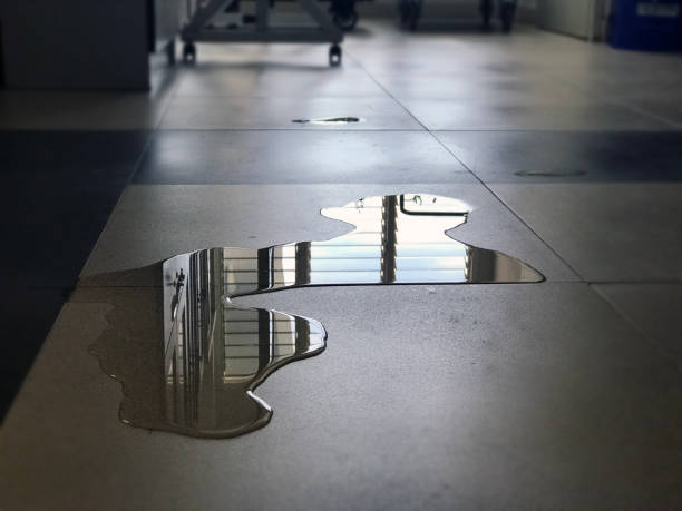 Best Emergency water damage restoration  in Prairie Heights, WA