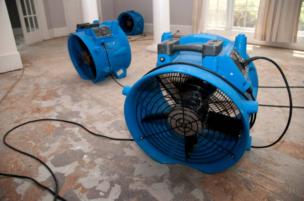 Best Professional water damage repair  in Prairie Heights, WA