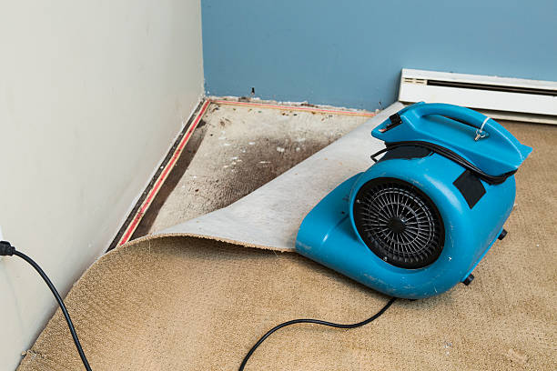 Reliable Prairie Heights, WA Water damage restoration Solutions